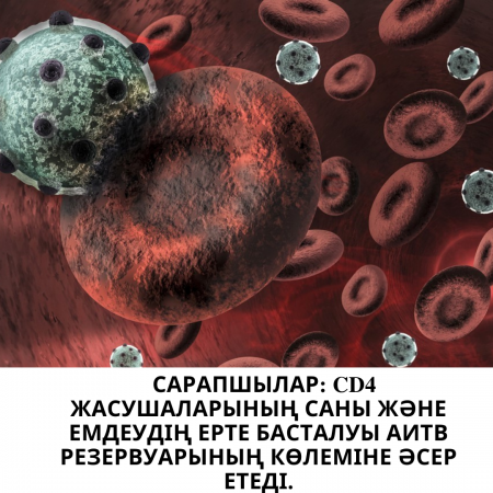 Эксперты: Количество клеток CD4 и раннее начало лечения влияют на объем резервуара ВИЧ
